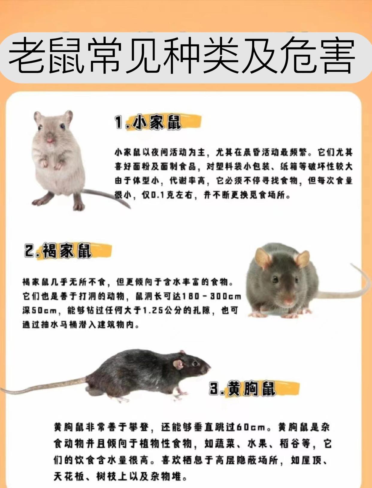 cefc1e178a82b901bc8041c4dcd40e7a3812ef84.jpeg