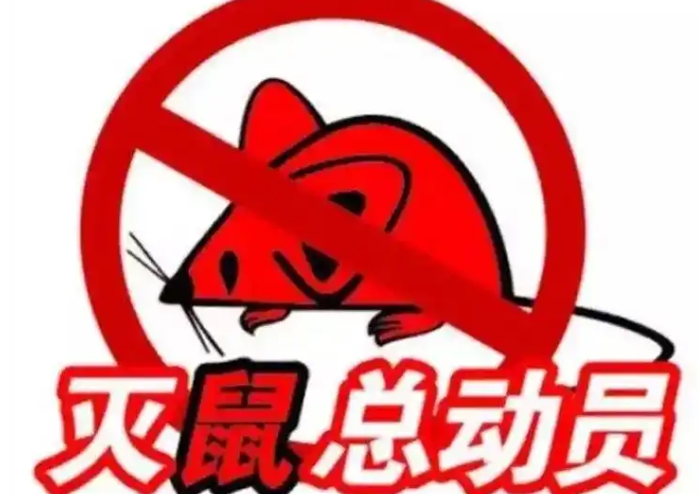 银行金融杀虫灭鼠
