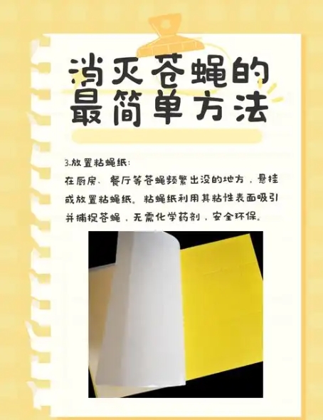 夏天家庭防苍蝇小妙招：土法驱苍蝇